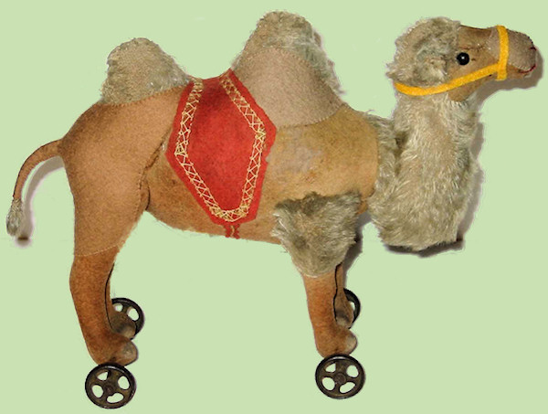 Picture of camel